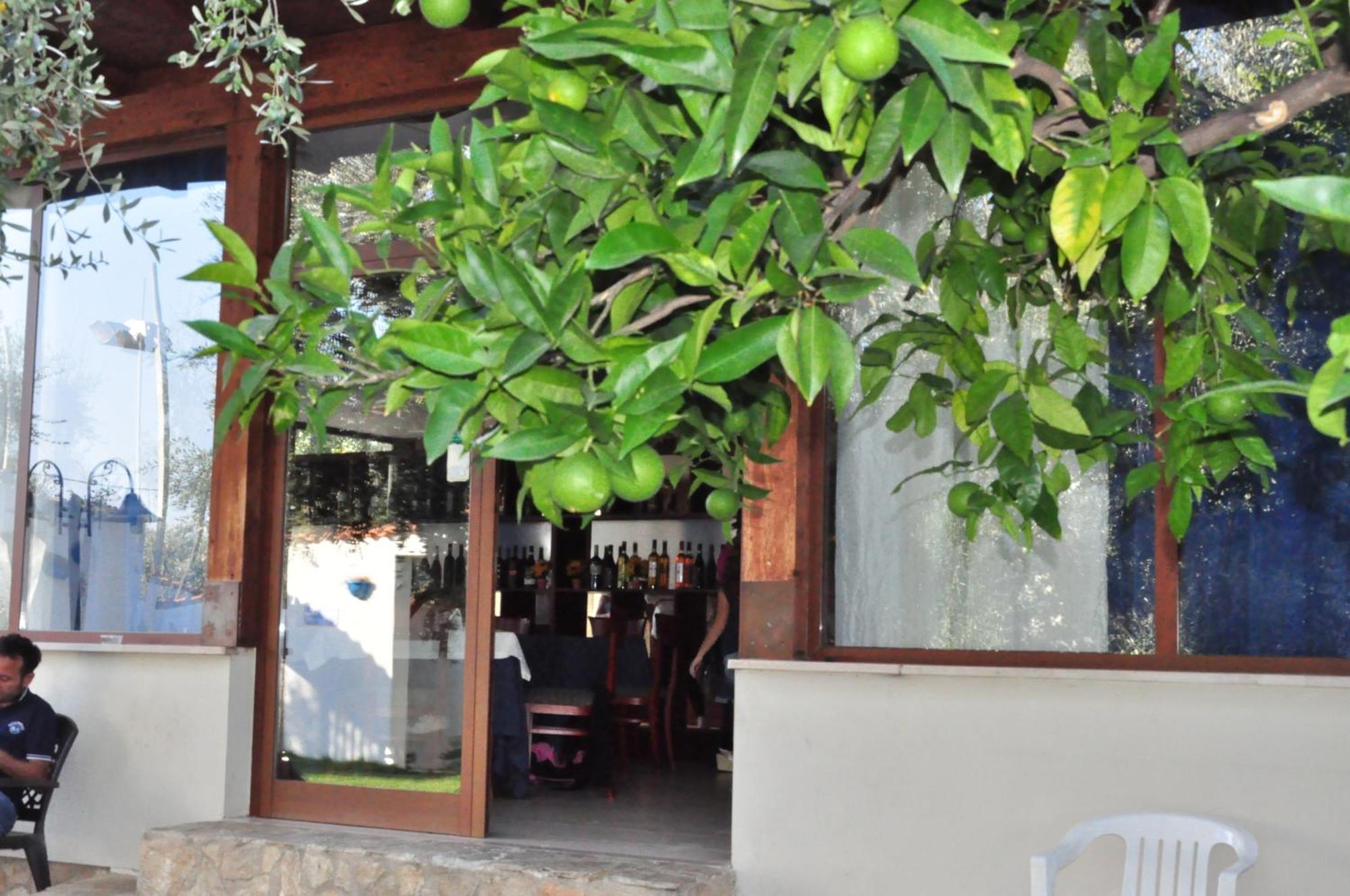 Hotel Il Melograno Mattinata Extérieur photo